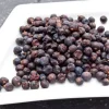 BACCHE DI GINEPRO