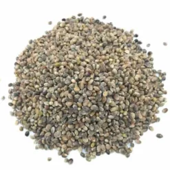 CANAPA SEMI