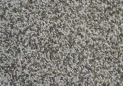 CHIA SEMI
