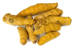 CURCUMA TURMERIC RADICE ESSICCATA