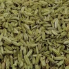 FINOCCHIO SEMI BIO