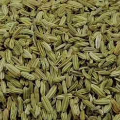 FINOCCHIO SEMI BIO