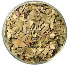 FOGLIE DI LEMON MYRTLE AUSTRALIANO BIOLOGICO