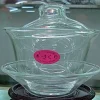 GAIWAN IN VETRO