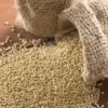QUINOA SEMI