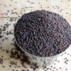 SENAPE NERA IN SEMI