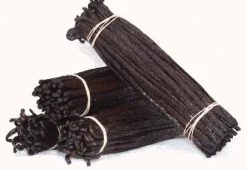 VANIGLIA BOURBON DEL MADAGASCAR 2 BACCELLI 16-18 CM
