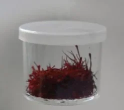Zafferano in pistilli - 10 grammi - VASETTO